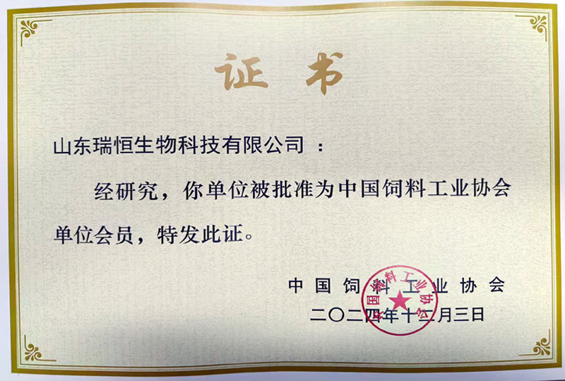 资质荣誉